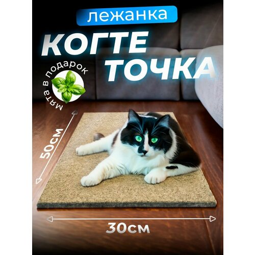 Когтеточка для кошки напольная лежанка с кошачьей мятой, 50х30 см/ бежевая купить за 524 руб, фото