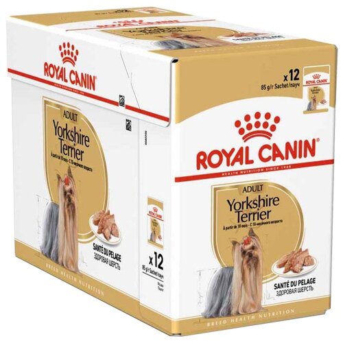 Влажный корм для собак Royal Canin породы Йоркширский терьер, для здоровья кожи и шерсти 1 уп. х 12 шт. х 85 г фотография