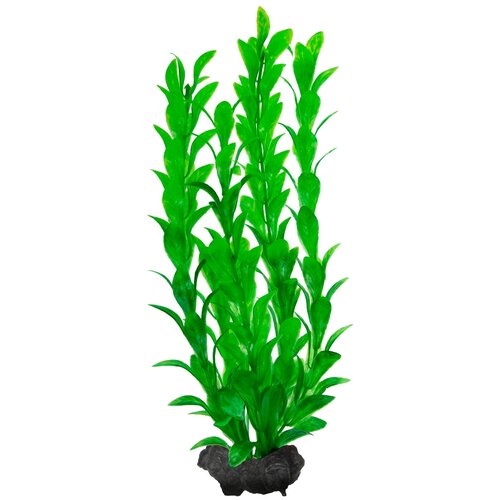 Искусственное растение  Tetra Hygrophila M 4 шт. 23 см зеленый фотография