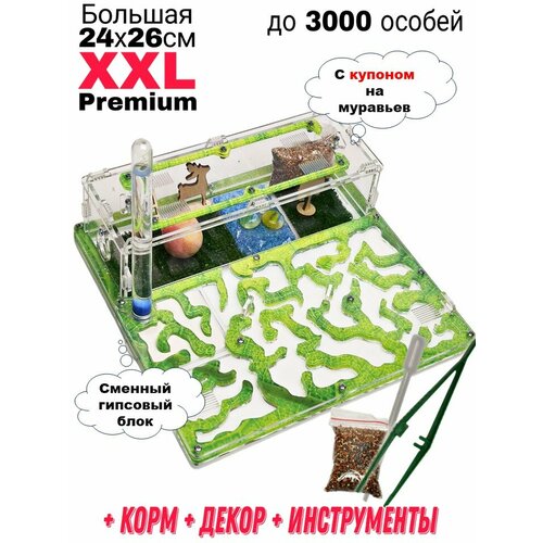 Большая муравьиная ферма XXL Premium 24*26см Полный комплект Салат фотография