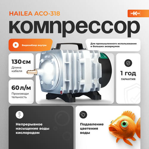 Компрессор поршневой Hailea ACO 318 купить за 3900 руб, фото