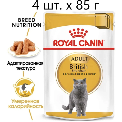 Влажный корм для кошек Royal Canin British Shorthair Adult, для взрослых кошек породы британская короткошерстная, 4 шт. х 85 г (кусочки в соусе) купить за 620 руб, фото