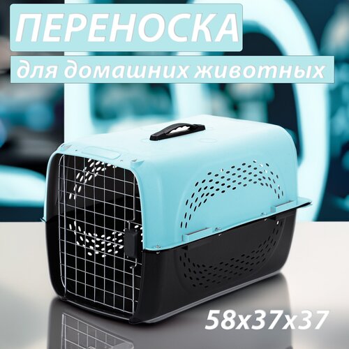 Клиппер-переноска для животных Чистый котик HP-A02 37х37х58 см 58 см 37 см 37 см голубой фотография