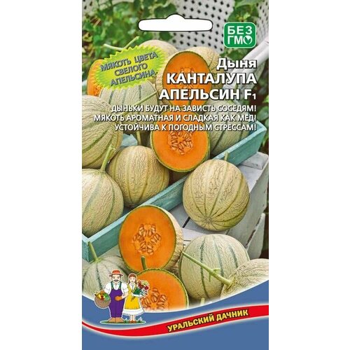 Дыня канталупа апельсин F1, 1 пакет, семена 6шт, Уральский Дачник купить за 120 руб, фото