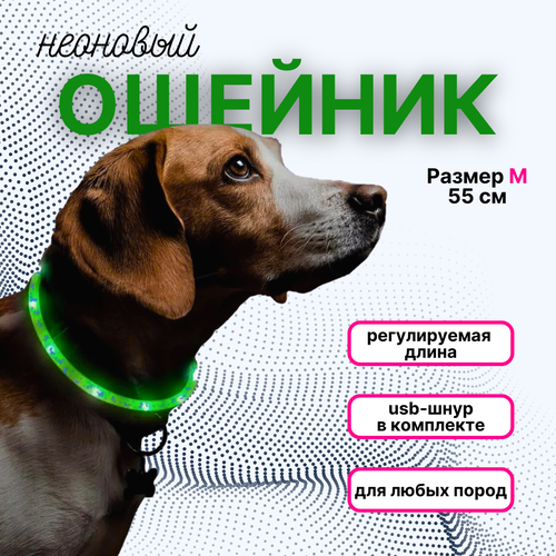 Ошейник для собак/ светящийся ошейник/ собачий ошейник LED 55 см с принтом зеленый , ZOOWELL фотография