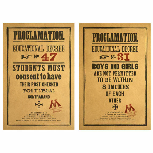 Набор из двух постеров №14 для вечеринки в стиле Гарри Поттер или тематической фотосессии фотография