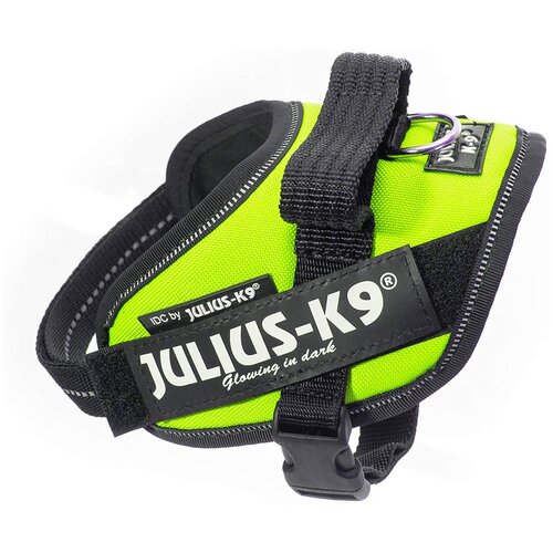 Шлейка JULIUS-K9 IDC Powerharness Mini-Mini Зеленый неон, XS фотография