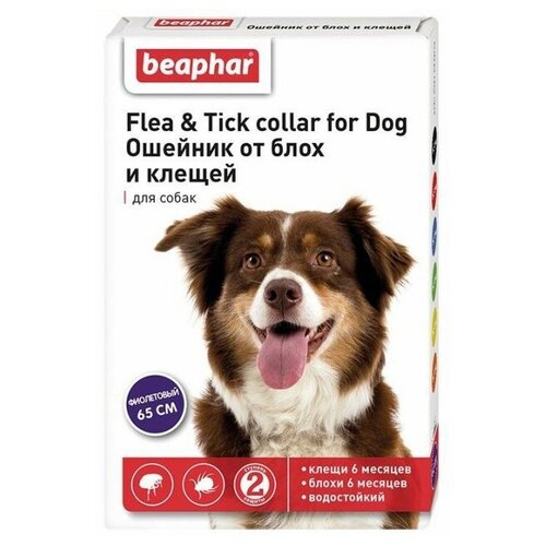 Beaphar ошейник от блох и клещей Flea & Tick. для собак и кошек, 65 см, фиолетовый 1 уп. фотография