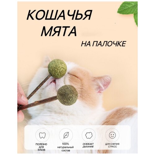 Игрушка для кошек из натуральной кошачьей мяты шарик/Мятный мячик/Шар из кошачьей мяты фотография