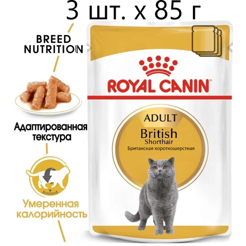 Влажный корм для кошек Royal Canin British Shorthair Adult, для взрослых кошек породы британская короткошерстная, 3 шт. х 85 г (кусочки в соусе) купить за 511 руб, фото