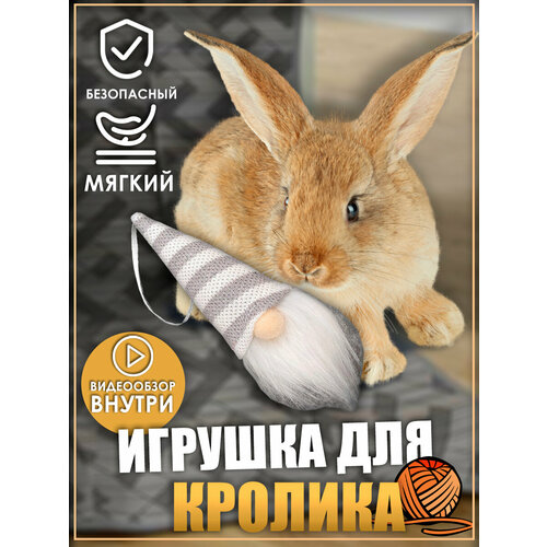 Игрушка для кролика, гномики, игрушки для грызунов, игрушки для животных фотография