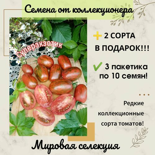 Томат Суперэкзотик, мировая селекция, коллекционный сорт фотография