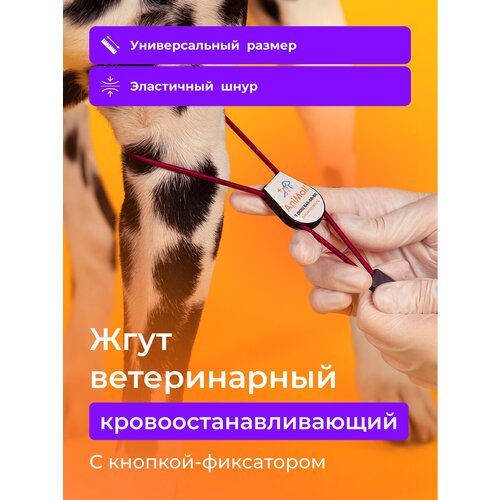 Жгут ветеринарный кровоостанавливающий с фиксатором AniMall / Бордовый купить за 230 руб, фото