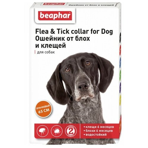 Beaphar ошейник от блох и клещей Flea & Tick. для собак и кошек, 65 см, оранжевый 1 уп. купить за 630 руб, фото