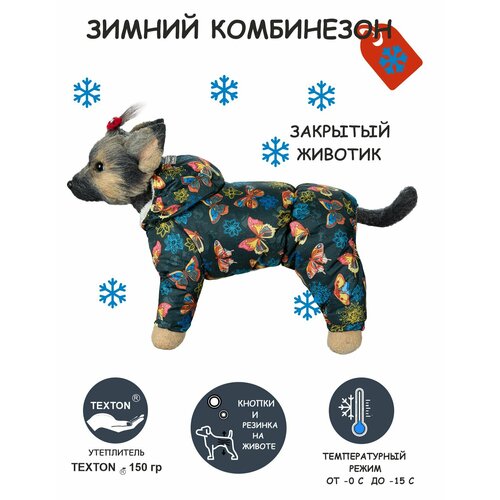 Зимний комбинезон для собак DOGMODA Бабочки девочка размер 5 фотография