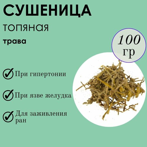 Сушеница, трава 100г фотография