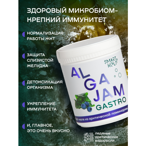 Желе из ламинарии с черникой ALGAJAM GASTRO (альгаджем), 500 г фотография