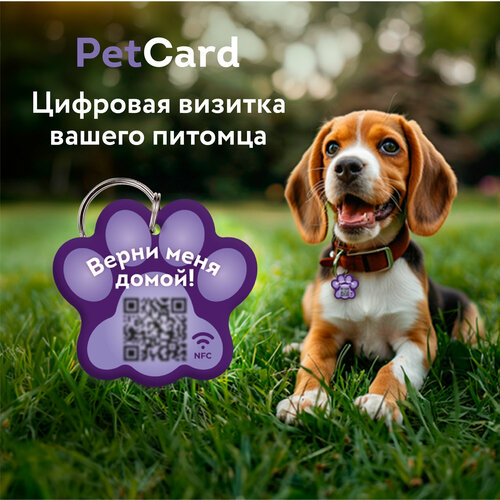 Адресник PetCard для собак и кошек с QR кодом и NFC, фиолетовый. купить за 441 руб, фото