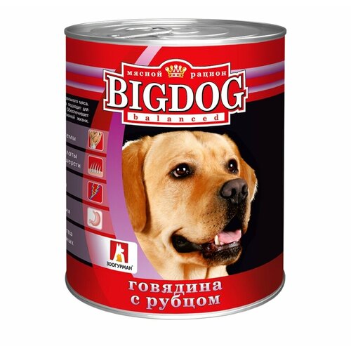 Влажный корм для собак Зоогурман Big Dog, говядина, рубец 1 уп. х 1 шт. х 850 г (для средних и крупных пород) фотография