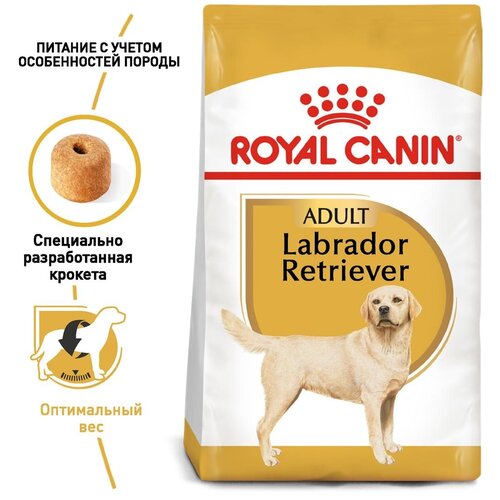 Сухой корм для собак Royal Canin Лабрадор Ретривер 1 уп. х 2 шт. х 12000 г (для средних и крупных пород) купить за 18831 руб, фото