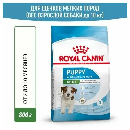 Royal Canin Mini Puppy Сухой корм для щенков мелких пород в возрасте от 2 до 10 месяцев, 800г фотография