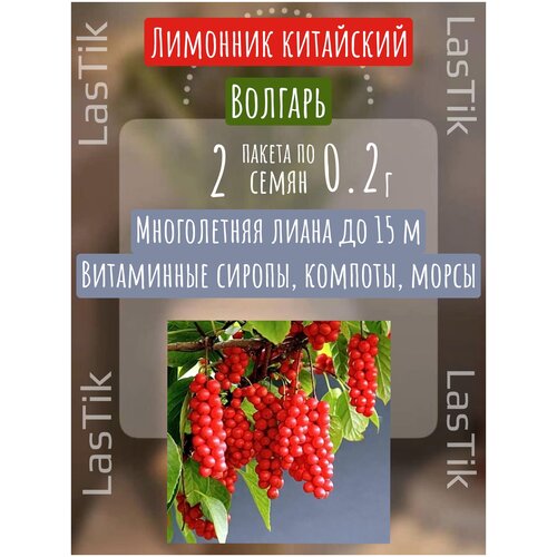 Лимонник китайский Волгарь 2 пакета по 0,2г семян купить за 239 руб, фото