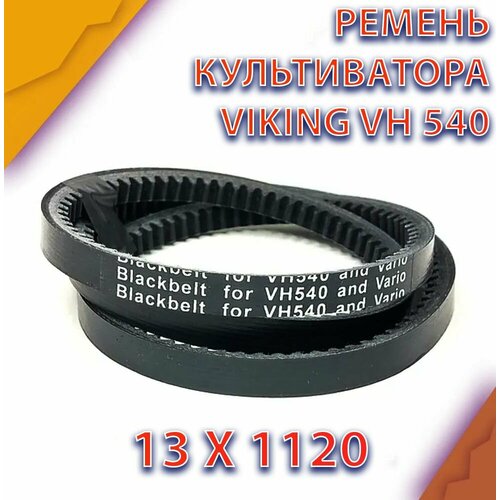 Ремень переднего хода 13 x 1120 для культиватора VIKING VH 540 фотография