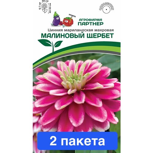 Цветы Цинния Малиновый Щербет Партнер 2 пакета купить за 914 руб, фото