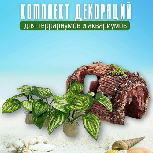 Комплект декораций для аквариума и террариума 