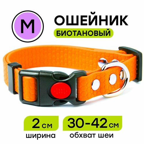 Ошейник из биотана 30-42 см (M)), 20 мм, Woofy 