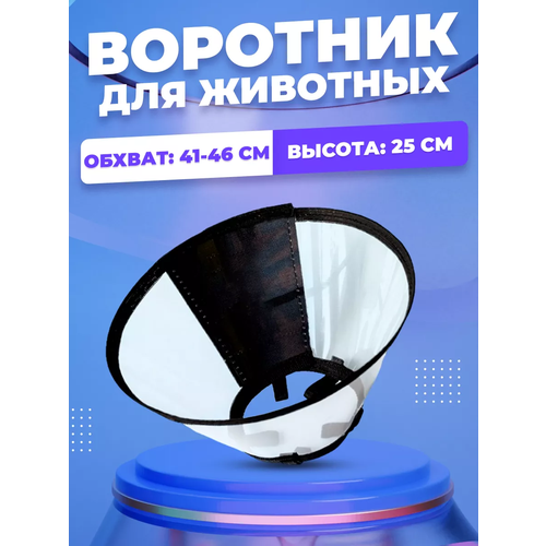 Воротник для собак и кошек на липучке, №24,5, воротник защитный для животных купить за 565 руб, фото