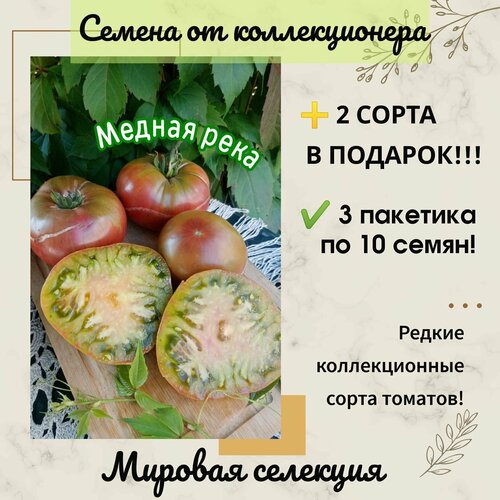 Томат Медная река, мировая селекция, коллекционный сорт фотография