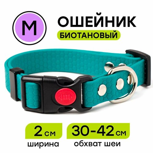 Ошейник из биотана 30-42 см (M), 20 мм, Woofy 