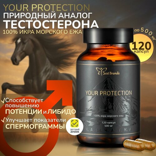 YOUR PROTECTION - 100% икра морского ежа. Единственный в своем роде. (120 капсул) фотография