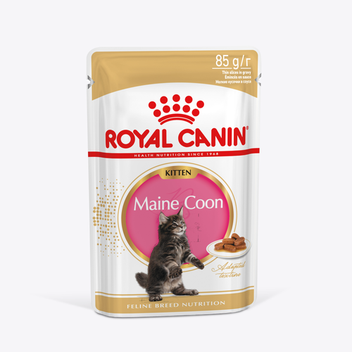 Корм Royal Canin для котят породы Мэйн Кун в возрасте до 15 месяцев MAINE COON KITTEN (мейн КУН киттен), мелкие кусочки в соусе, 28х85г купить за 2264 руб, фото