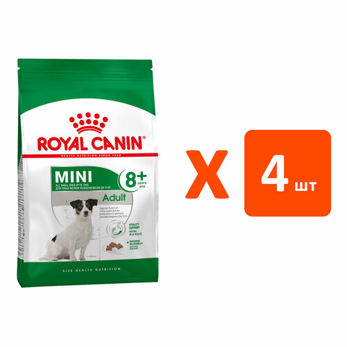 ROYAL CANIN MINI ADULT 8+ для пожилых собак маленьких пород старше 8 лет (4 кг х 4 шт) фотография