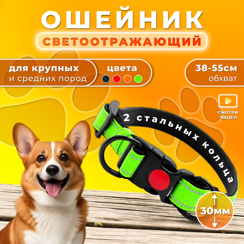 Ошейник Doggy&Dog Shop, для крупных и средних собак, с двумя кольцами, светоотражающий, зеленый купить за 499 руб, фото