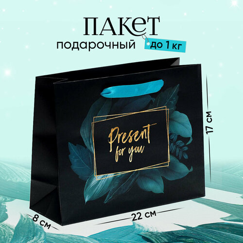 Пакет подарочный «Present for you», 22 х 17.5 х 8 см фотография