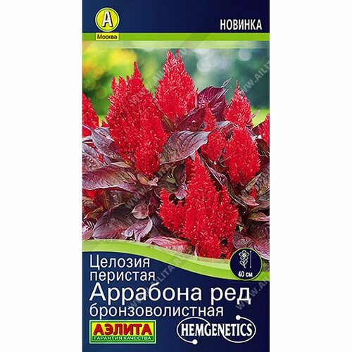 Семена Целозия Аррабона ред бронзоволистная, однолетник, (Аэлита) 7шт Hem Genetics купить за 75 руб, фото