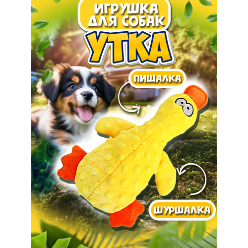 Игрушки для собак 