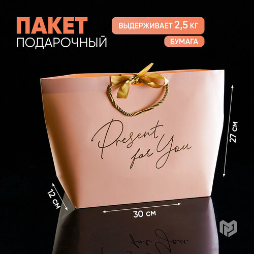 Пакет подарочный ламинированный с бантом «Present for you», 30 х 27 х 12 см фотография