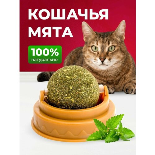 Игрушка для кошек с мятой / кошачья мята / ролик с мятой фотография