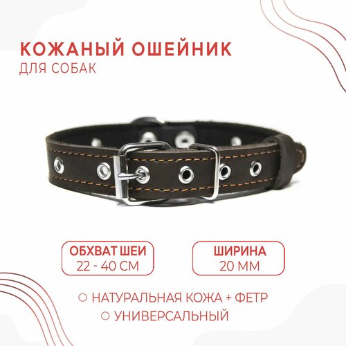 Кожаный ошейник на фетре (обхват шеи 22-40 см.) для собак / Коричневый купить за 442 руб, фото