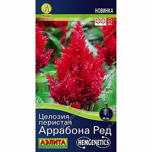 Семена Целозия Аррабона ред, однолетник, (Аэлита) 7шт Hem Genetics купить за 75 руб, фото