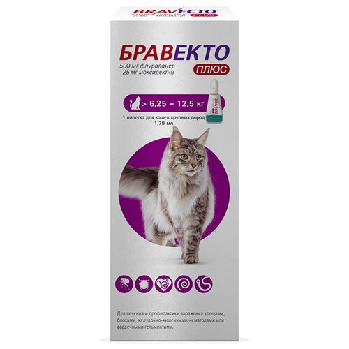 MSD Animal Health  Бравекто Плюс капли от блох и клещей для кошек 6.25-12.5 кг 1 шт. в уп., 1 уп. фотография