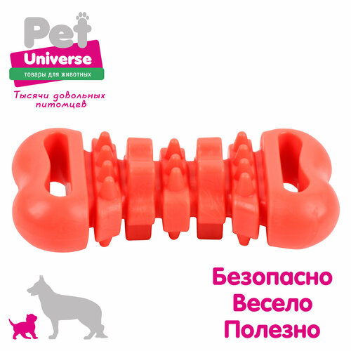 Игрушка для собак Pet Universe многофактурная косточка для жевания 12 см, ТПР, оранжевый, PU3078OE фотография