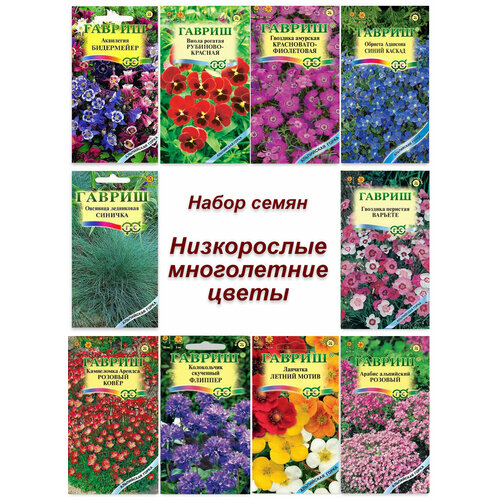 Набор семян, семена низкорослых многолетних цветов - аквилегия, виола, примула, колокольчик и др фотография