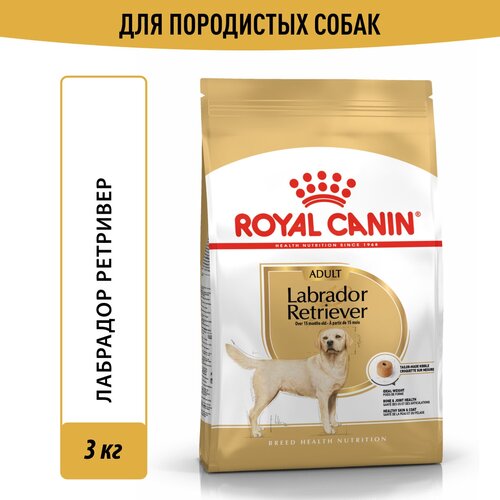 Корм для собак Royal Canin Labrador Retriever (Лабрадор Ретривер Эдалт) Корм сухой для взрослых собак породы Лабрадор Ретривер от 15 месяцев, 3 кг купить за 2319 руб, фото