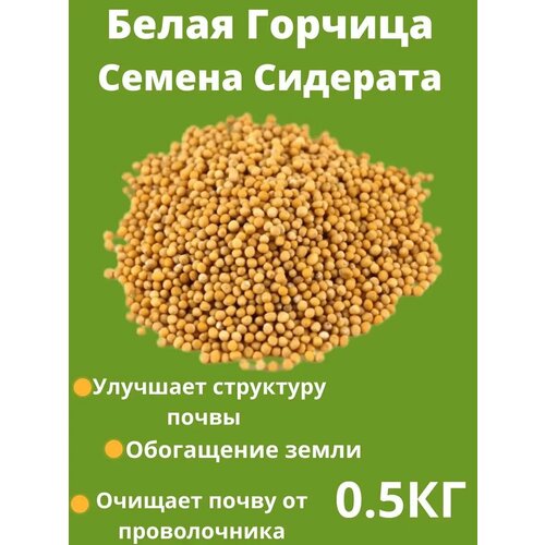 Горчица семена сидерат 0.5 кг купить за 210 руб, фото