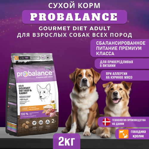 Сухой корм ProBalance Gourmet diet Adult для взрослых собак с говядиной и кроликом, 2кг купить за 608 руб, фото